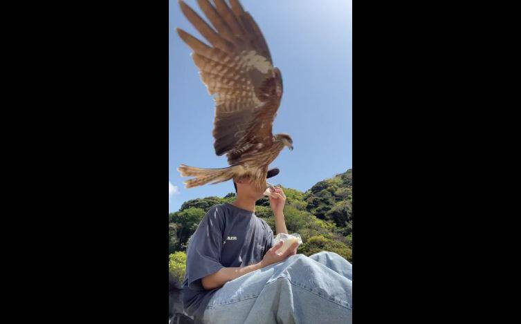 Japon gencin ağzına götürdüğü sandviçi pençesiyle çaldı! Fişek gibi geldi tek hamlede kaptı - Resim: 9